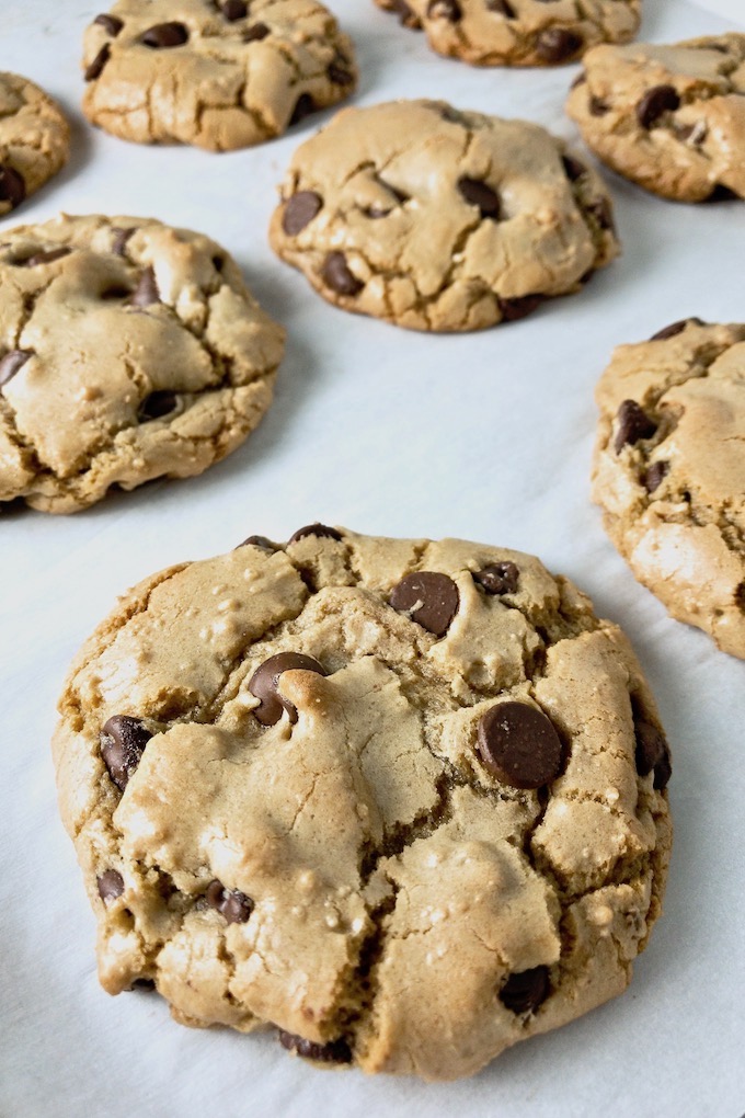 thick chewy chocolate chip cookies - The Genetic Chef