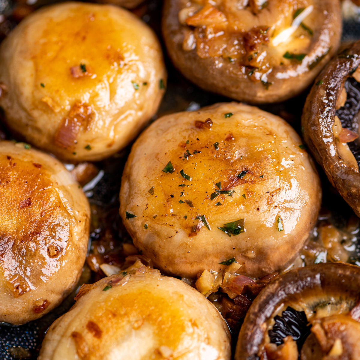 Escargots with Mushrooms and Tarragon Recipe – Mother Earth News