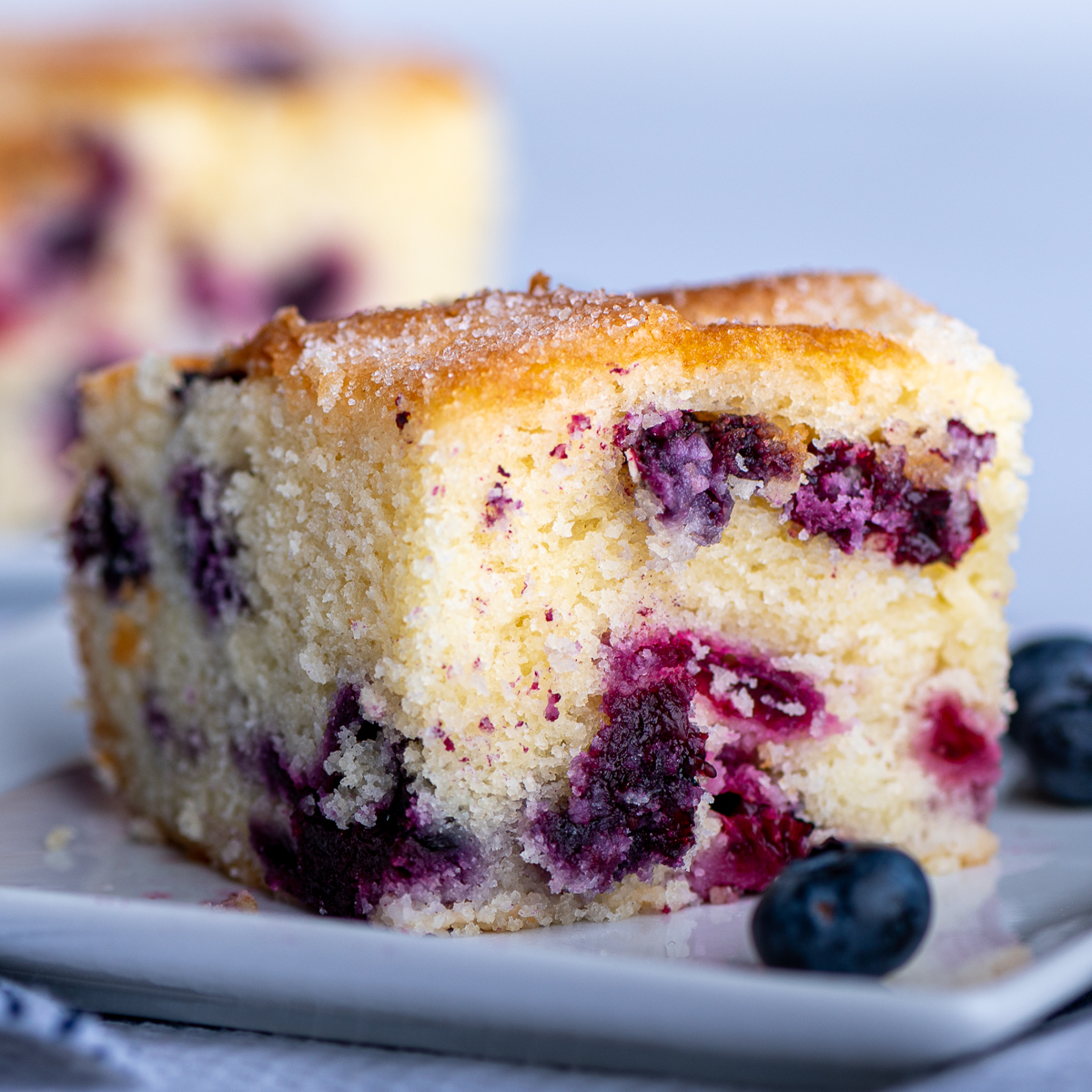 Blueberry Breakfast Cake with Streusel Topping | Plated Cravings